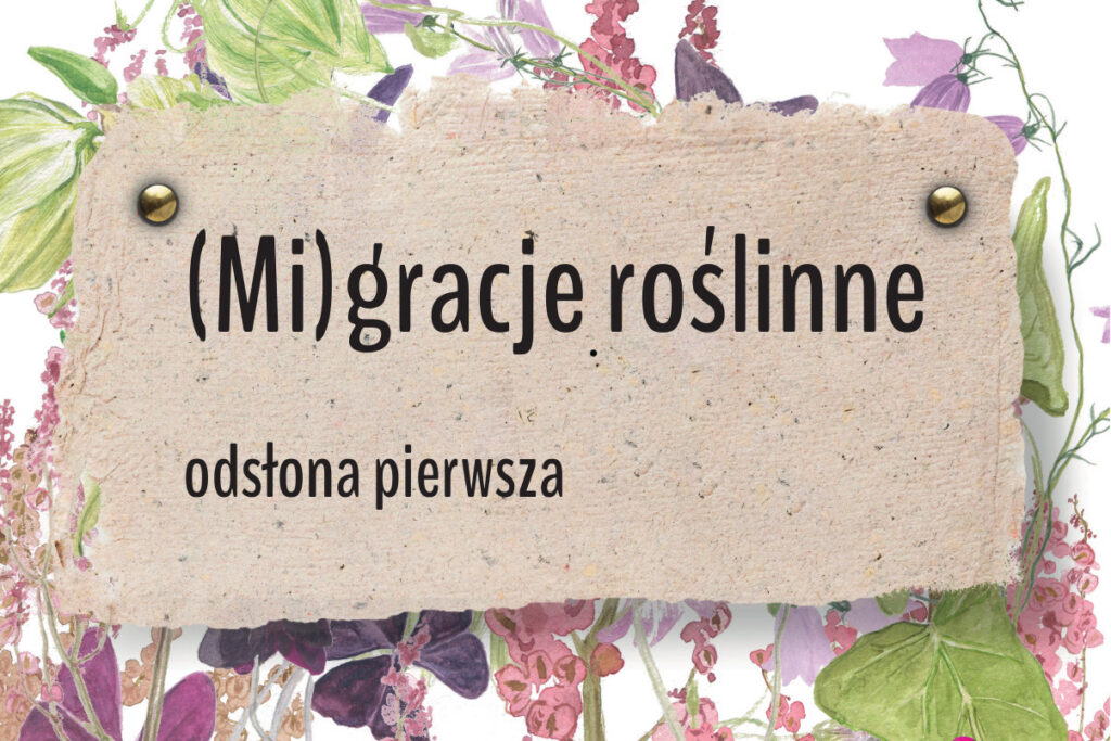 Migracje roślinne – warsztaty do wystawy No Man’s Land/Ziemia niczyja
