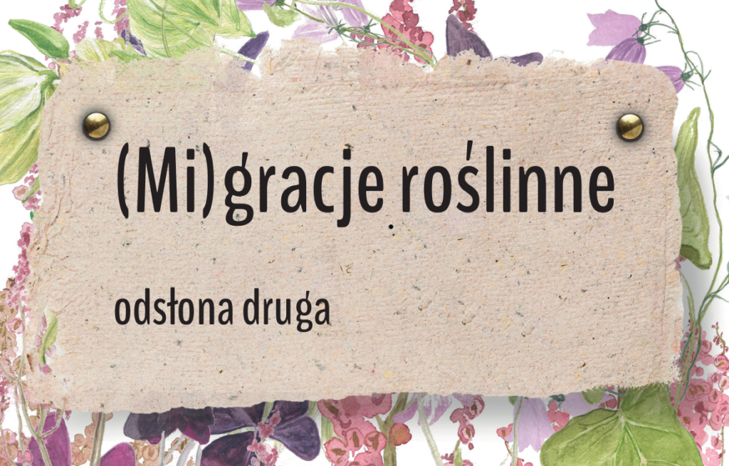 Migracje roślinne – warsztaty do wystawy No Man’s Land/Ziemia niczyja (odsłona druga)