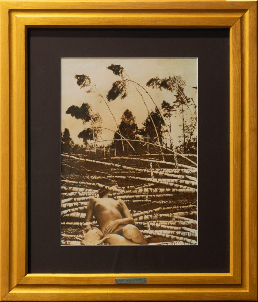 Akt w brzozach